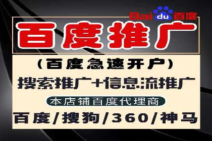 成功案例：SEM竞价托管的策略与效果